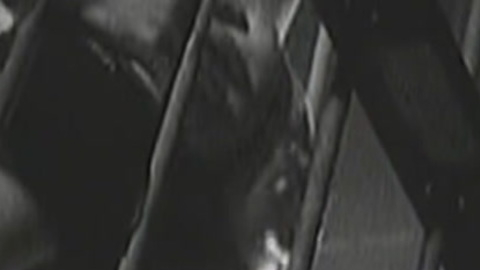 Ian (as Geoffrey Moody) from Leather Jacket Love Story Naked. Butt, black and white, cage. 137657