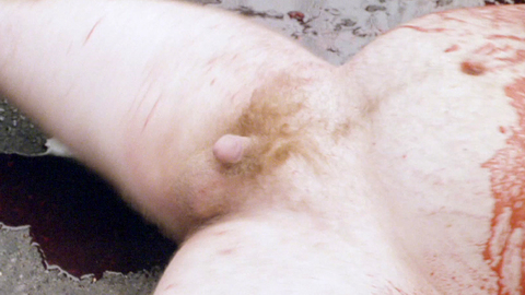 Nudes of Naked P.A. from Terror Firmer. Balls, Penis, Shirtless, blood, butt. 126210