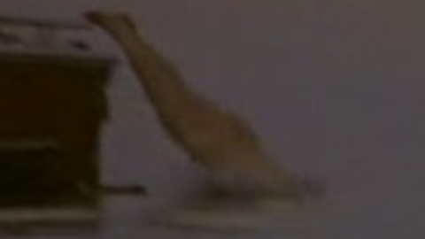 Alan Rickman Nude as David Weinberg. Shirtless, Butt. 24152