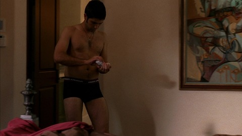 Entourage's Sexiest Scenes with Adrian Grenier. Sexy, Shirtless, Straight, Underwear. 40320