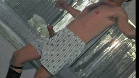 Franco Branciaroli Naked in The Key. Erect, Penis, Prosthetic, Shirtless, boxer shorts, nude. 201175