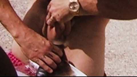 Steve-O Naked as Himself. Balls, Shirtless. 27369