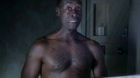 House of Lies's Sexiest Scenes with Don Cheadle. Shirtless. 16536
