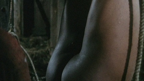 Richard Ward in Mandingo (1975) Butt Shirtless 30866