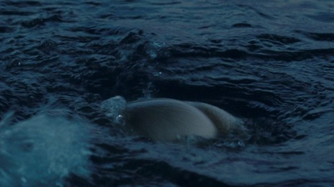 Jim Sturgess in One Day (2011) Butt 63485