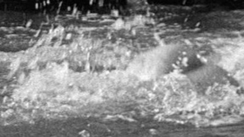 William Bakewell Nude in All Quiet on the Western Front. Butt, Shirtless. 10930