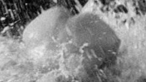 William Bakewell Nude in All Quiet on the Western Front. Butt, Shirtless. 10924
