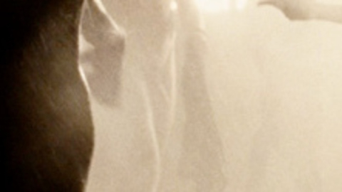 Jake Gyllenhaal in Jarhead (2005) Penis Shirtless 424