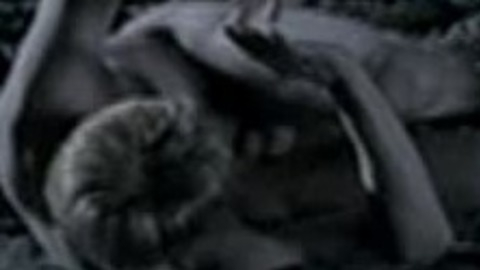Mads Mikkelsen in Torremolinos 73 (2003) Balls Penis Shirtless 17835