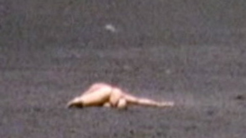 Massimo Girotti Naked in Teorema. Butt, barefoot, desert. 124776