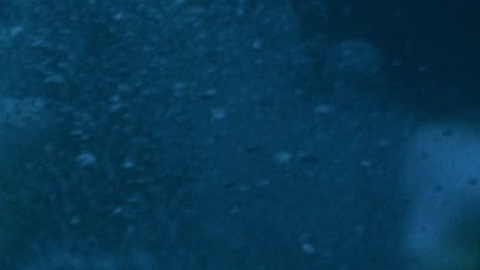 Eric Dane in Open Water 2: Adrift (2006) Butt 4717