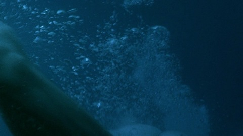 Eric Dane in Open Water 2: Adrift (2006) Butt 4724