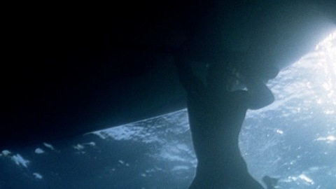 Richard Speight Jr. in Open Water 2: Adrift (2006) Sexy Shirtless 4729