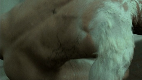 Nudes of Jensen Ames from Death Race. Shirtless, Butt. 9048