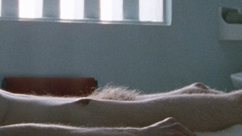 Michael Fassbender Nude in Hunger. Penis, Sexy, Shirtless. 2986