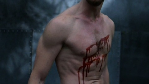 Kris Holden-Ried in Lost Girl (2010-2015) Shirtless 6480