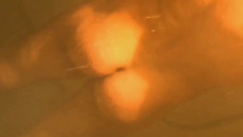 Kai Schumann in Geister: All Inclusive (2011) Butt Shirtless 20599