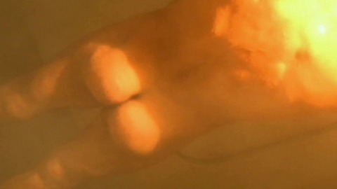 Kai Schumann in Geister: All Inclusive (2011) Butt Shirtless 20605