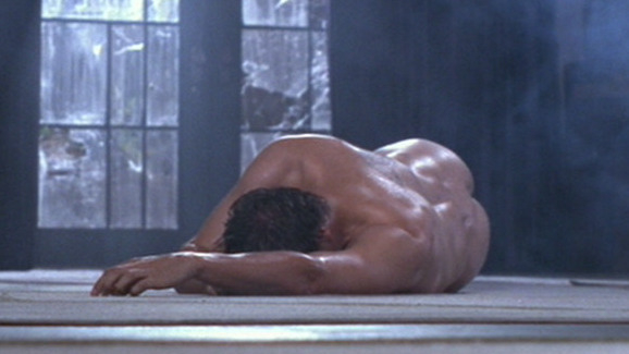 David Boreanaz Nude in Buffy the Vampire Slayer. Butt, Sexy, Shirtless. 27316