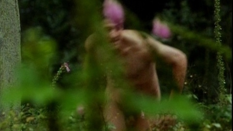 Sean Bean Naked as Mellors. Balls, Penis. 8463