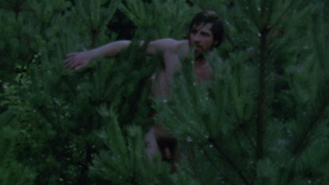 Alan Bates Naked in Women in Love. Penis, Shirtless. 58627