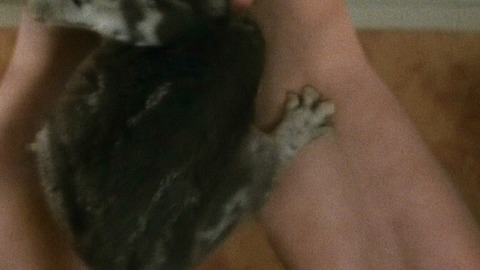 Robin Morrissey in Cloud Atlas (2012) Sexy Shirtless 14807