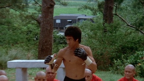Bruce Lee in Enter the Dragon (1972) Shirtless 3359