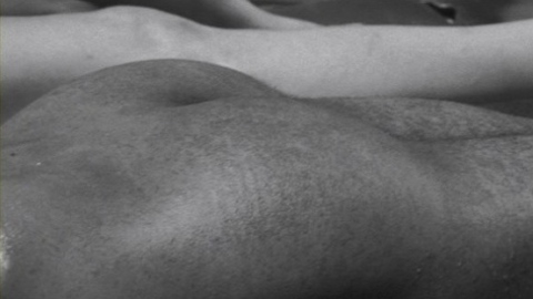 Zaden Alexander Naked as Franco (as Edgar Morais). Butt. 4305
