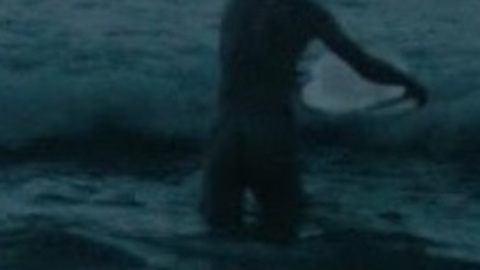 Gus from Drift Naked. Butt, Sexy, Shirtless. 1541