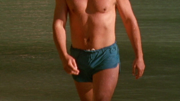 The Hot Spot's Sexiest Scenes with Don Johnson. Bulge, Shirtless, abs, bathing suit. 2820