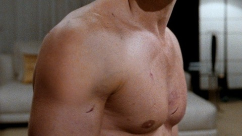 Daniel Craig in Quantum of Solace (2008) Shirtless Straight 6013