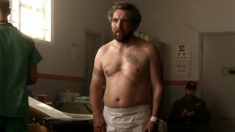 Sexiest Scenes of Terry Donovan from Ray Donovan. Shirtless. 46799