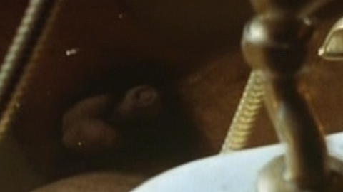 Naveen Andrews Naked as Karim Amir. Penis, Balls, Shirtless, Sexy. 9549