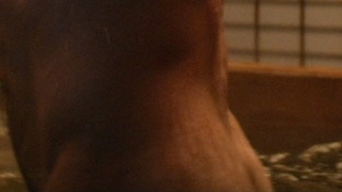 Hugh Jackman in The Wolverine (2013) Sexy Shirtless Butt 15622