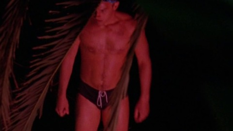 Daniel Lapaine in Muriel's Wedding (1994) Bathing Suit Bulge Sexy Shirtless 12789