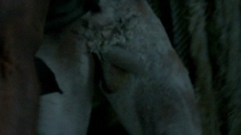 Zach McGowan Nude in Black Sails. Balls, Penis, Shirtless. 29746