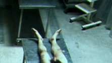 Wesley Smith from The Killing Gene Naked. Shirtless, Penis. 19301