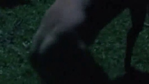 Michael Ostrowski in Slugs (2004) Butt Shirtless 21597
