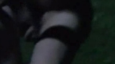 Michael Ostrowski in Slugs (2004) Shirtless Penis Balls Gay 21600