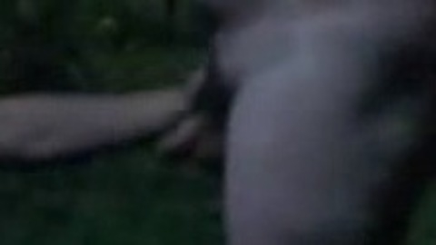 Raimund Wallisch in Slugs (2004) Shirtless Penis Balls Gay 21621