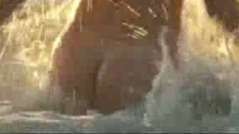 Héctor Tomás in Postcards from the Moon (2012) Butt Shirtless 23695