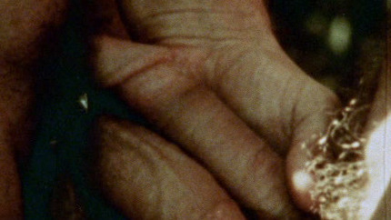 Himself from Boys in the Sand Naked. Balls, Gay, Penis. 54017