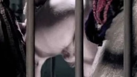 Stefano Scherini in Goltzius and the Pelican Company (2012) Balls Butt Gay Penis Shirtless 26573