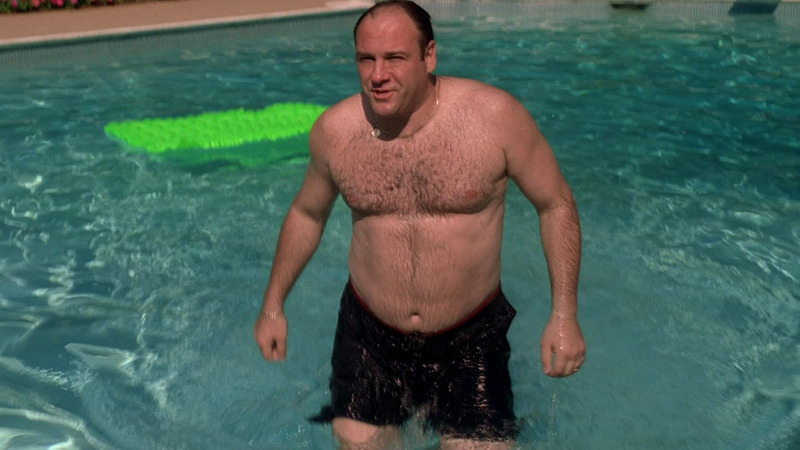 The Sopranos's Sexiest Scenes with James Gandolfini. Sexy, Shirtless, Bathing Suit. 27588