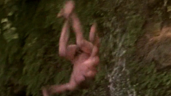 Nudes of Joe Newton from The Newton Boys. Balls, Penis. 27156