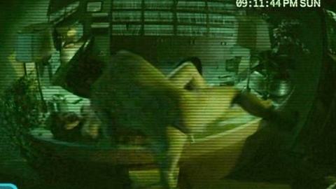 Nudes of Nick Hendricks from Horrible Bosses 2. Body Double, Butt, night vision, nude. 185448