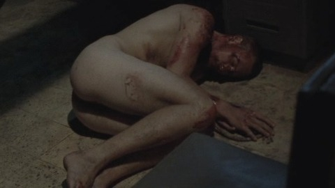 John Robinson Nude as Wayne. Butt, Shirtless. 28202
