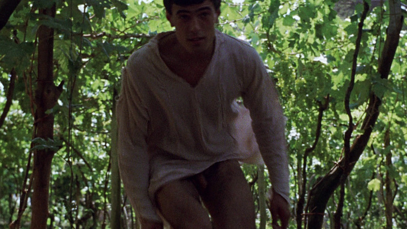 Vincenzo Amato Naked in The Decameron. Balls, Penis. 28327
