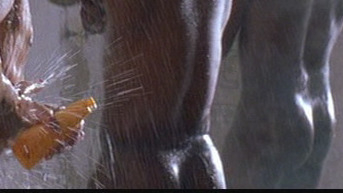 Miso from The Long Run Naked. Butt, Sexy, Shirtless. 28463