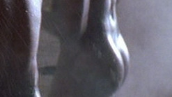 Nudes of Popo from The Long Run. Butt, Penis, Sexy, Shirtless. 28464